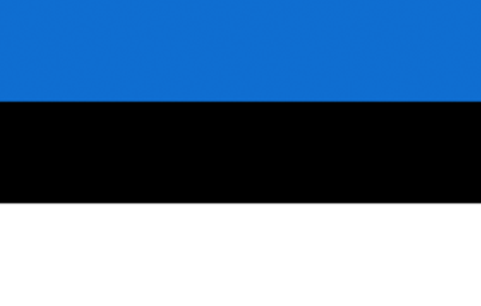 payment guide to estonia