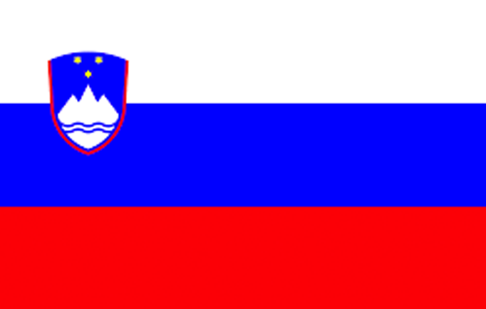 payment guide to slovenia