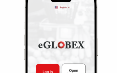 Money Remittance : How to Send Money to Your eGlobex IBAN